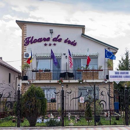 Floare De Iris Hotel Вама Веке Екстериор снимка