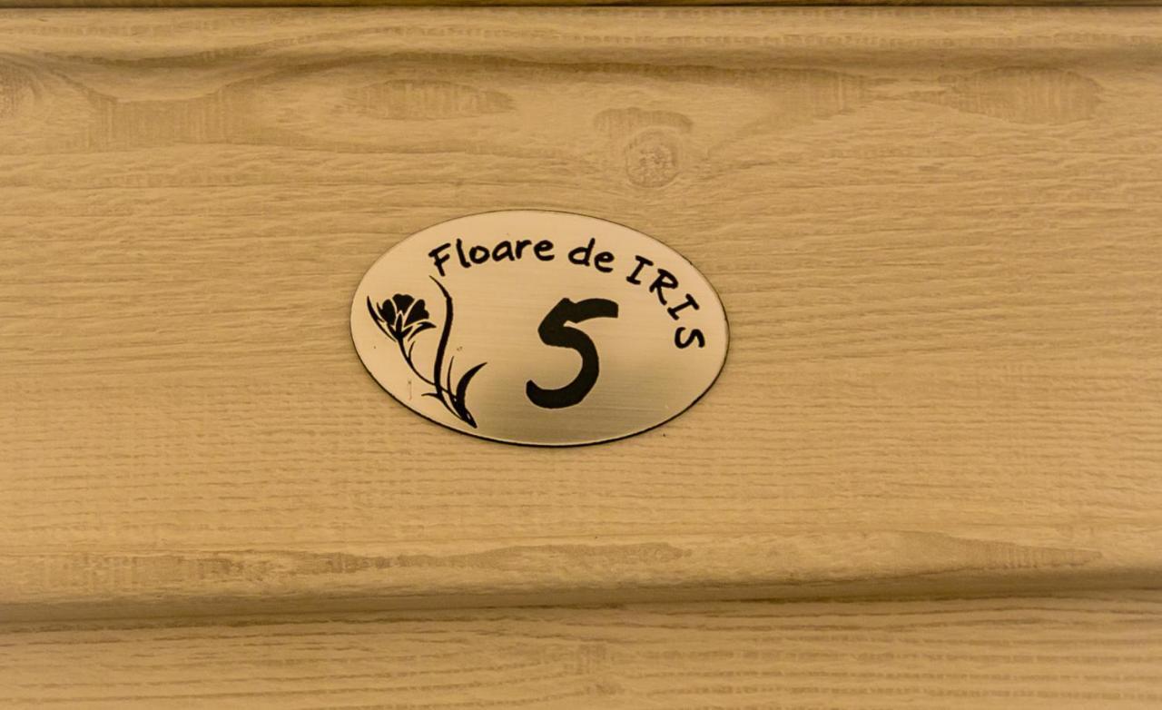 Floare De Iris Hotel Вама Веке Екстериор снимка
